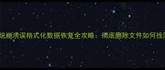系统崩溃误格式化数据恢复全攻略彻底删除文件如何找回