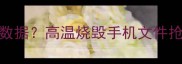 手机过热损坏后如何恢复数据高温烧毁手机文件抢救全攻略附详细步骤