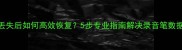 录音文件丢失后如何高效恢复5步专业指南解决录音笔数据丢失难题