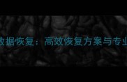 网站支付系统数据恢复高效恢复方案与专业数据修复指南