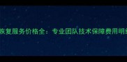 北京上海数据恢复服务价格全专业团队技术保障费用明细最新版