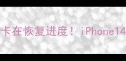 3步解决iPhone导入数据时卡在恢复进度iPhone14131211常见文件恢复指南