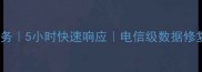 石家庄专业数据恢复服务5小时快速响应电信级数据修复技术附真实案例