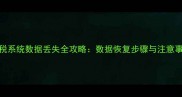 金税系统数据丢失全攻略数据恢复步骤与注意事项