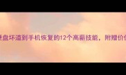 数据恢复全攻略从硬盘坏道到手机恢复的12个高薪技能附赠价值2999元的实操手册