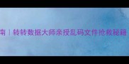 数据恢复避坑指南转转数据大师亲授乱码文件抢救秘籍附免费工具包