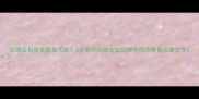 沙漏验机恢复数据失败3步教你快速定位故障并成功恢复关键文件