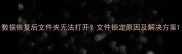 数据恢复后文件夹无法打开文件锁定原因及解决方案