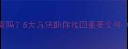 数据清空后还能恢复吗5大方法助你找回重要文件附详细操作指南
