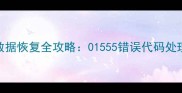 Oracle数据库表数据恢复全攻略01555错误代码处理与数据找回技巧