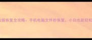 免注册数据恢复全攻略手机电脑文件秒恢复小白也能轻松搞定
