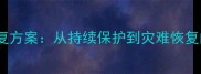 企业级数据恢复方案从持续保护到灾难恢复的全流程指南