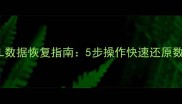 PgSQL数据恢复指南5步操作快速还原数据库