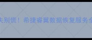 手机电脑文件丢失别慌希捷睿翼数据恢复服务全攻略附真实案例