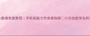 WinHex数据恢复教程手机电脑文件急救指南小白也能学会的3步操作