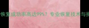 U盘数据恢复成功率高达99专业恢复技术与操作指南