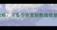 数据恢复全攻略从备份恢复到数据修复的完整指南
