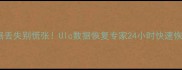 U盘数据丢失别慌张Ulc数据恢复专家24小时快速恢复方案